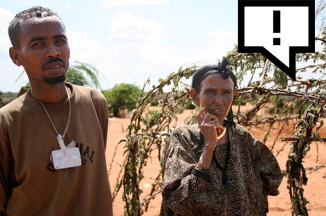 The World We Created Together